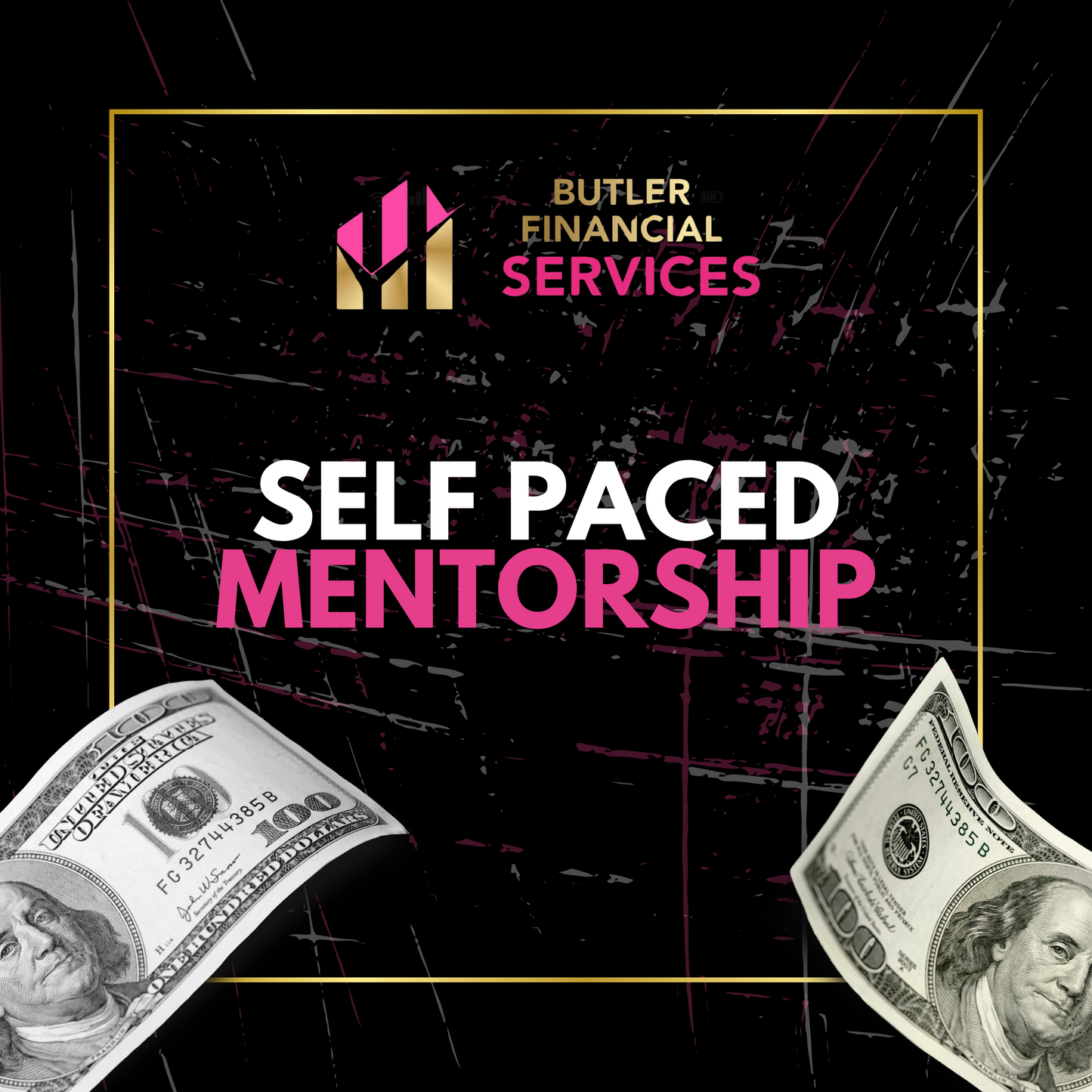 Self Paced Mentorship